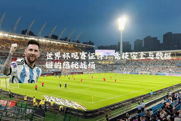 世界杯观赛证件：竞技安全与数据链的隐秘战场